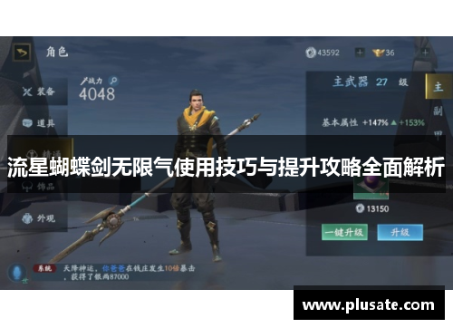 流星蝴蝶剑无限气使用技巧与提升攻略全面解析