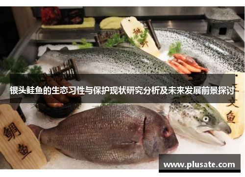 银头鲑鱼的生态习性与保护现状研究分析及未来发展前景探讨