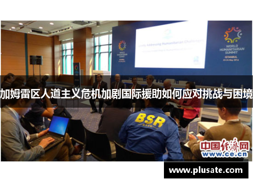 加姆雷区人道主义危机加剧国际援助如何应对挑战与困境