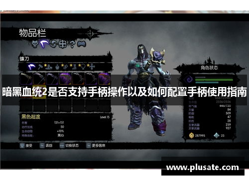 暗黑血统2是否支持手柄操作以及如何配置手柄使用指南